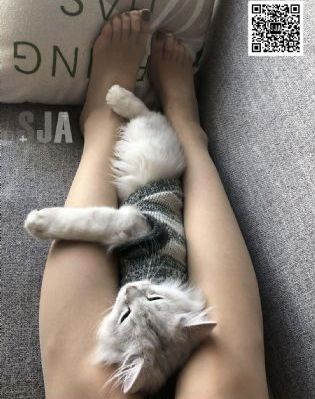 电影资源画质_国语配音超清
