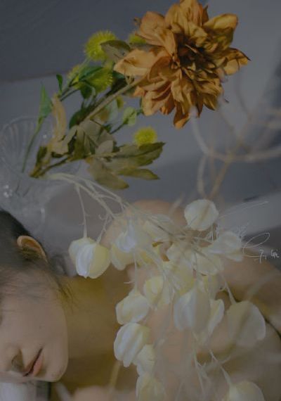 免费的剪辑软件有哪些_1080P全集免费播放