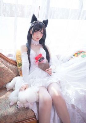 亚洲性爱欧美激情_HD高清视频观看